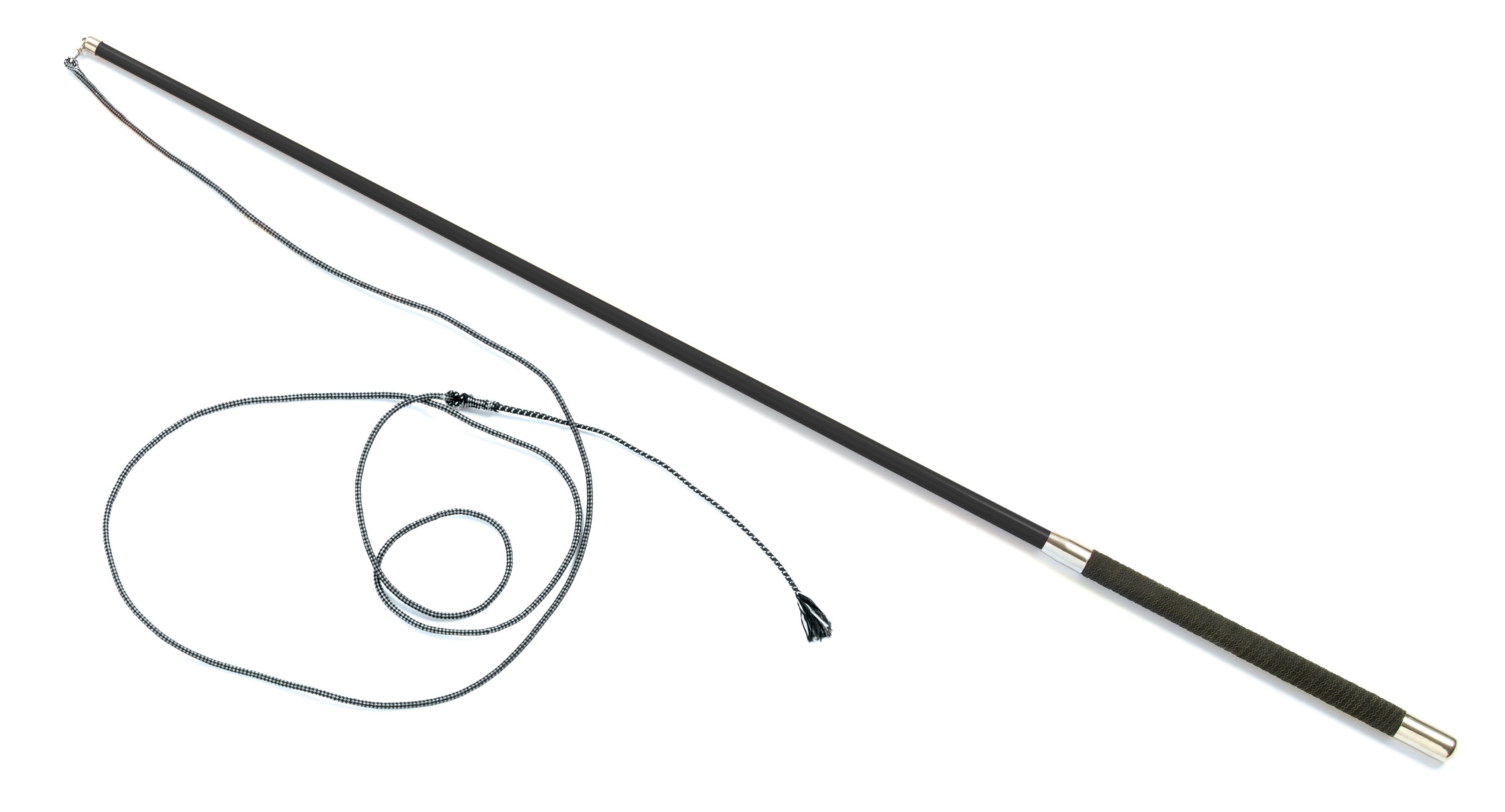 VET 2018 LAS Group E Lab 4 Equine Lameness How does one investigate